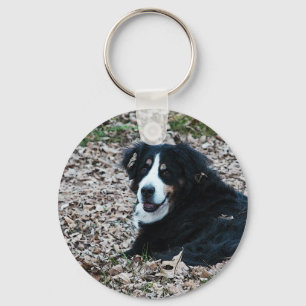 Bernese Mountain Dog in Autumn Key Ring