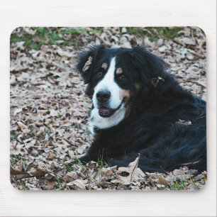 Bernese Mountain Dog in Autumn Mouse Mat