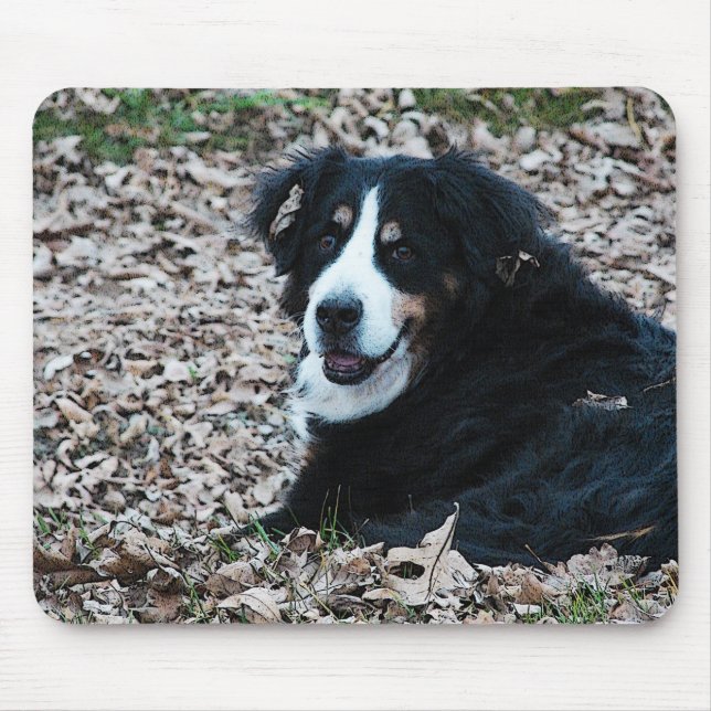 Bernese Mountain Dog in Autumn Mouse Mat (Front)