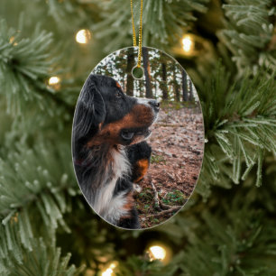 bernese mountain dog in forest ceramic tree decoration
