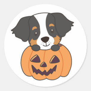 Bernese Mountain Dog In Pumpkin Dogs Happy Classic Round Sticker