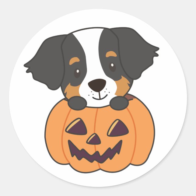 Bernese Mountain Dog In Pumpkin Dogs Happy Classic Round Sticker (Front)