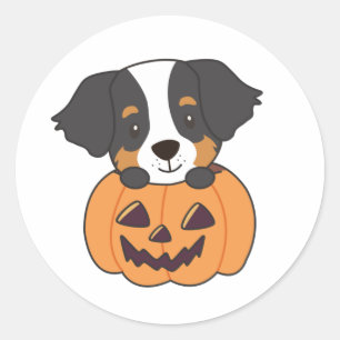 Bernese Mountain Dog In Pumpkin Dogs Happy Classic Round Sticker