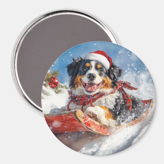 Bernese Mountain Dog in Sledge Christmas Magnet (Front/Back)