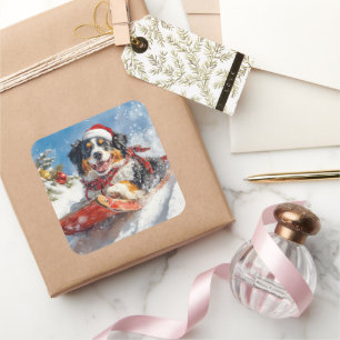 Bernese Mountain Dog in Sledge Christmas Square Sticker