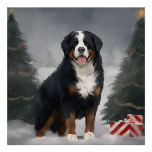 Bernese Mountain Dog in Snow Christmas Poster
