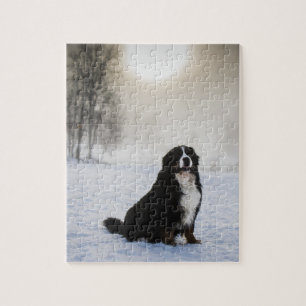 bernese mountain dog in snow jigsaw puzzle