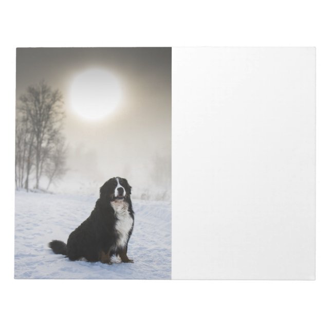 bernese mountain dog in snow notepad (Front)