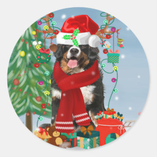 Bernese Mountain Dog in Snow with Christmas Gifts  Classic Round Sticker