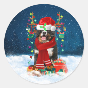 Bernese Mountain Dog in Snow with Christmas Gifts  Classic Round Sticker