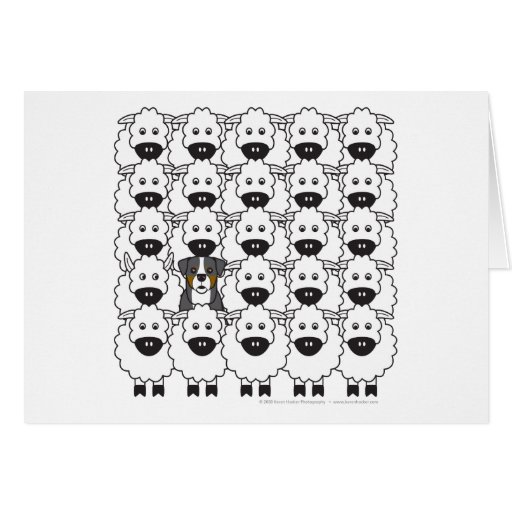 Image of Bernese Mountain Dog in the Sheep