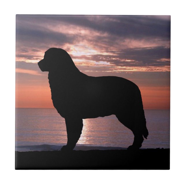 Bernese Mountain Dog Indigo Sunset Tile (Front)