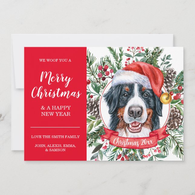 Bernese Mountain Dog Inexpensive Christmas Card (Front)