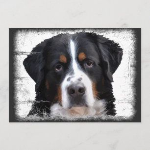 Bernese Mountain Dog Invitation