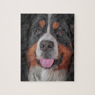 Bernese Mountain Dog Jigsaw Puzzle