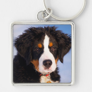 Bernese Mountain Dog Key Ring