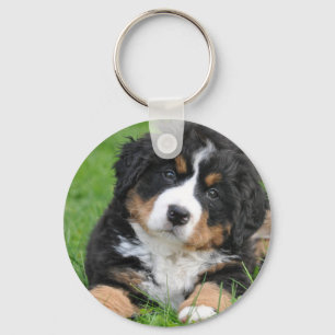 Bernese Mountain Dog Key Ring