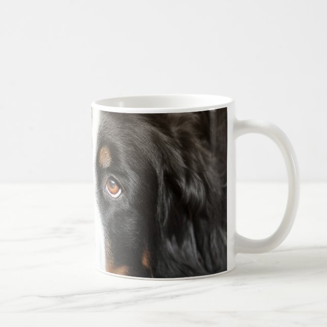 bernese mountain dog laying coffee mug (Right)