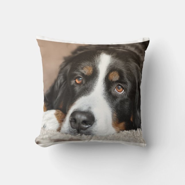 bernese mountain dog laying cushion (Front)