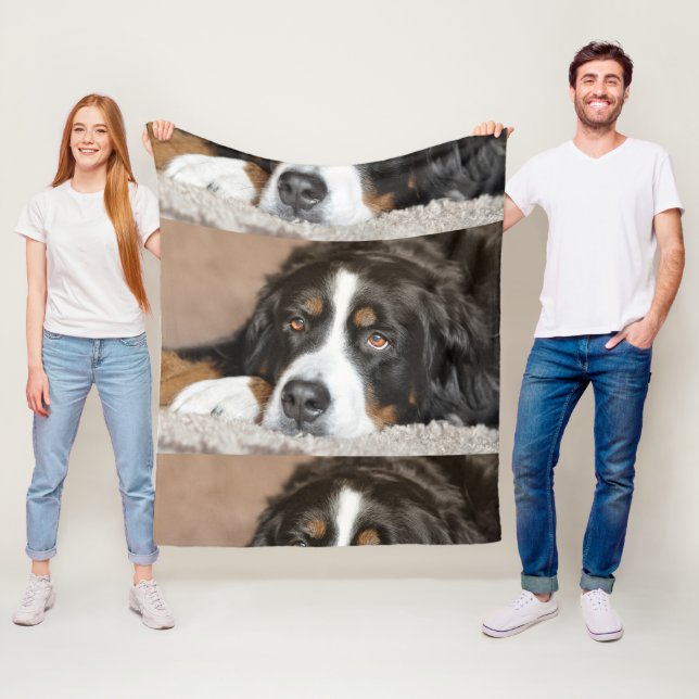 bernese mountain dog laying fleece blanket (In Situ)