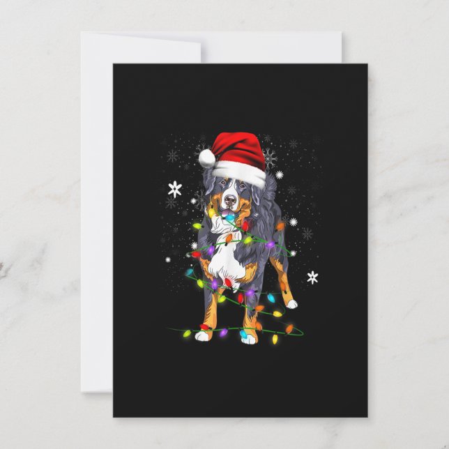 Bernese Mountain Dog Lights Christmas Matching Fam Invitation (Front)