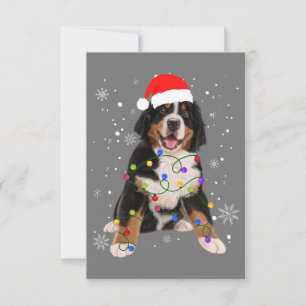 Bernese Mountain Dog Lights Christmas Matching Fam Thank You Card