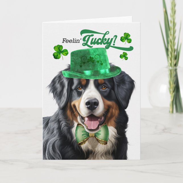 Bernese Mountain Dog Lucky St Patrick's Day Holiday Card (Front)
