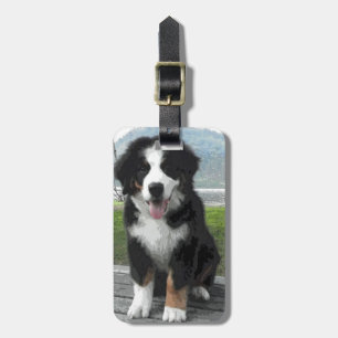 Bernese Mountain Dog luggage Tag