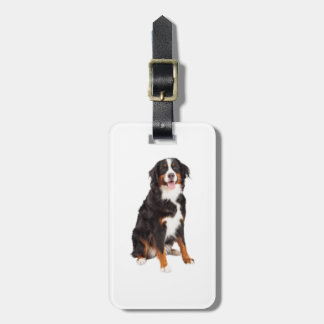 Bernese Mountain Dog | Luggage Tag