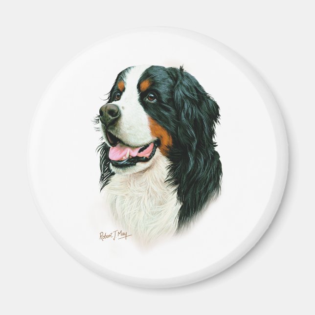 Bernese Mountain Dog Magnet (Front)