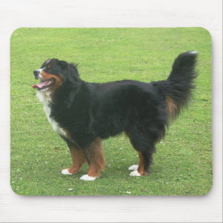 Bernese Mountain Dog Mouse Mat