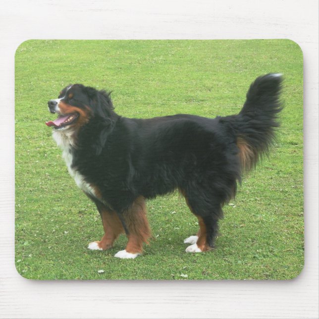Bernese Mountain Dog Mouse Mat (Front)