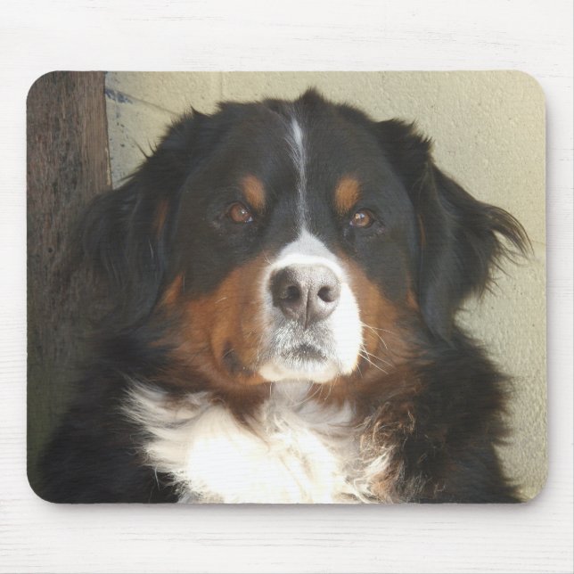Bernese Mountain Dog Mouse Mat (Front)