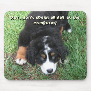 Bernese Mountain Dog Mouse Mat
