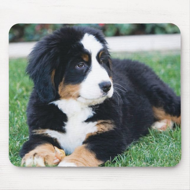 Bernese Mountain Dog Mouse Mat (Front)