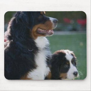 Bernese Mountain Dog Mousepad