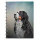 Bernese Mountain Dog