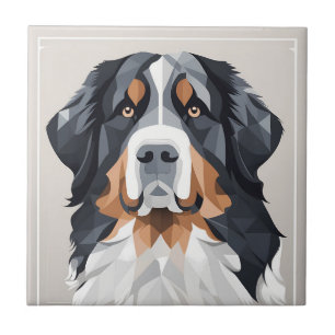 Bernese mountain dog on a gray background tile