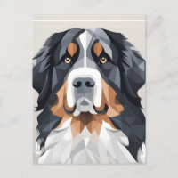 Bernese mountain dog on a grey background