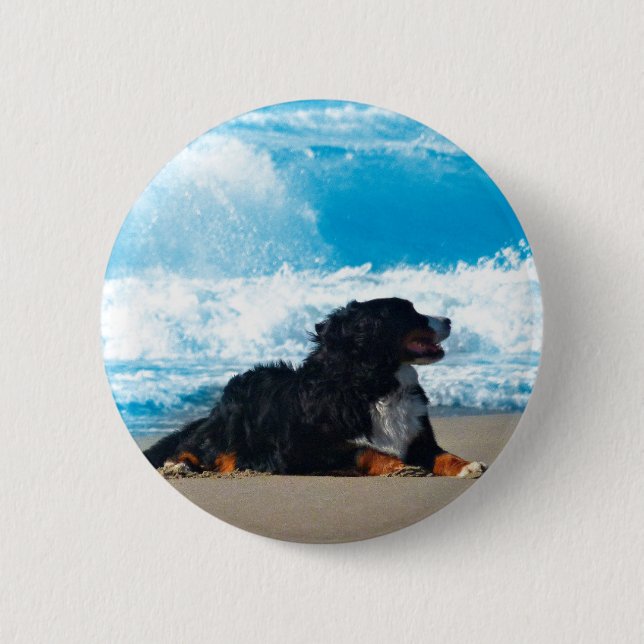 Bernese Mountain Dog on Beach 6 Cm Round Badge (Front)