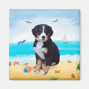 Bernese Mountain Dog on Beach Magnet