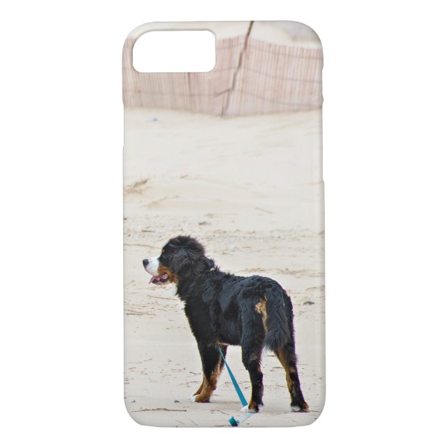 Bernese Mountain dog on sand Case-Mate iPhone Case (Back)