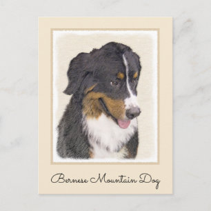 Bernese Mountain Dog Painting - Original Dog Art Postcard
