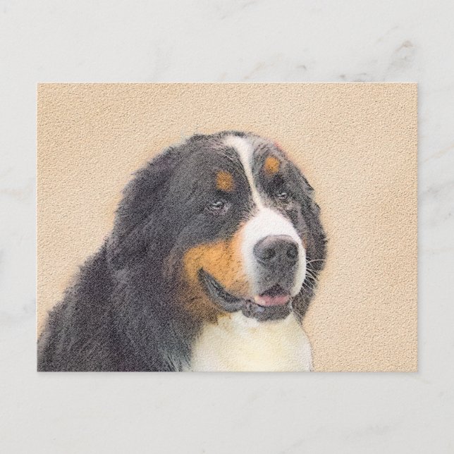 Bernese Mountain Dog Painting - Original Dog Art Postcard (Front)