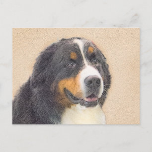 Bernese Mountain Dog Painting - Original Dog Art Postcard