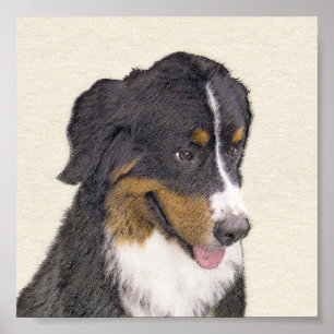 Bernese Mountain Dog Painting - Original Dog Art Poster