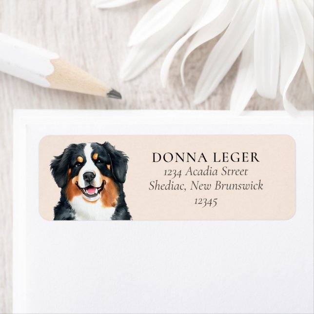 Bernese Mountain Dog Personalised Address (Insitu)