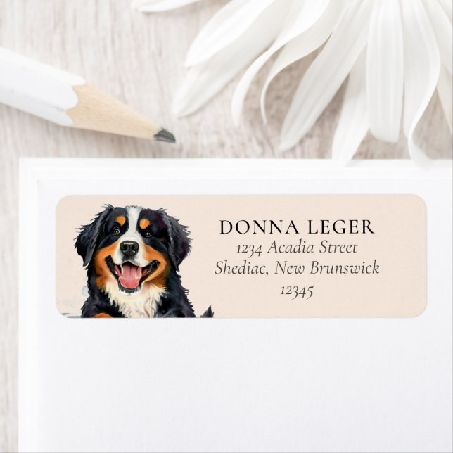 Bernese Mountain Dog Personalised Address (Insitu)