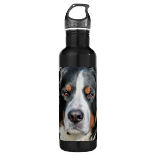Bernese Mountain Dog Photo Image 710 Ml Water Bottle