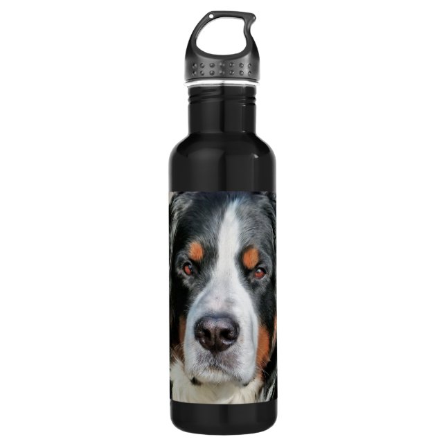 Bernese Mountain Dog Photo Image 710 Ml Water Bottle (Front)